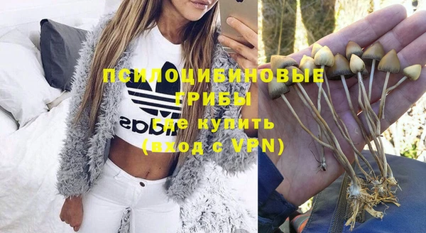 гашиш Туринск