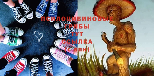 гашиш Туринск