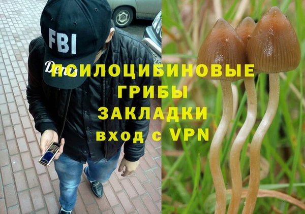 спиды Белоозёрский