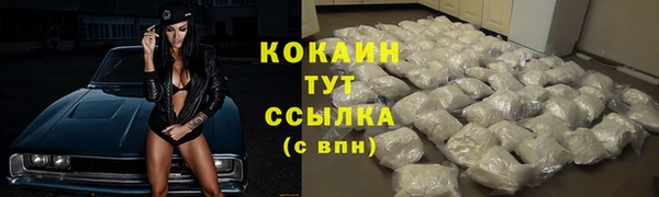 крисы Белокуриха
