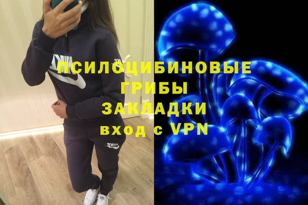 крисы Белокуриха