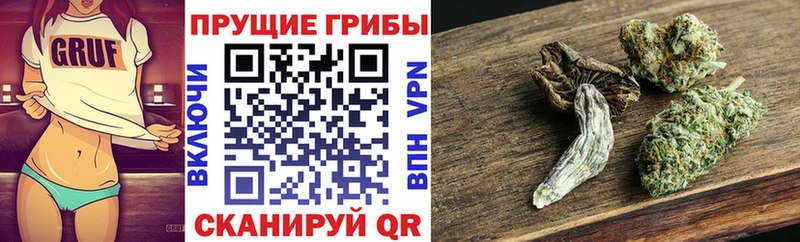 Галлюциногенные грибы Psilocybine cubensis  OMG сайт  Верхний Тагил 